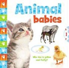 BRENDA APSLEY, Brenda/ Fotolia (PHT)/ O&amp;apos Apsley, Brenda/ Fotolia (PHT)/ O'Toole Apsley, Jeannette Toole, Fotolia, Jeannette O'Toole - Animal Babies