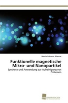 Martín Eduardo Silvestre - Funktionelle magnetische Mikro- und Nanopartikel