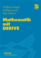 Ad Ben-Israel, Adi Ben-Israel, Bob Gilbert, Robert P Gilbert, Robert P. Gilbert, Wolfra Koepf... - Mathematik mit DERIVE
