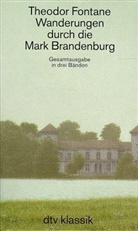 Theodor Fontane - Wanderungen durch die Mark Brandenburg, 3 Tle.