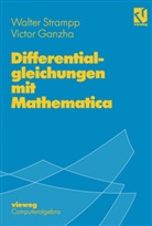 Victor Ganzha, Victor G. Ganzha, Walte Strampp, Walter Strampp - Differentialgleichungen mit Mathematica