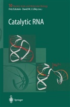 Frit Eckstein, Fritz Eckstein, Fritz Eckstein Eckstein, David M. J. Lilley, M J Lilley, M J Lilley - Catalytic RNA
