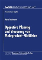 Mario Lochmann - Operative Planung und Steuerung von Mehrprodukt-Fließlinien
