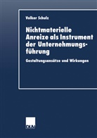 Volker Schulz - Nichtmaterielle Anreize als Instrument der Unternehmungsführung