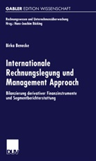 Birka Benecke - Internationale Rechnungslegung und Management Approach