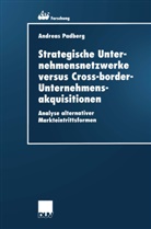 Andreas Padberg - Strategische Unternehmensnetzwerke versus Cross-border-Unternehmensakquisitionen