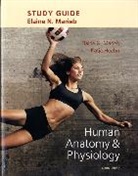 Katja Hoehn, Elaine N. Marieb, Elaine Nicpon Marieb - Study Guide for Human Anatomy & Physiology