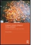 Richard Schiere - China''s Development Challenges
