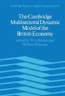 Terry Barker, William Peterson - The Cambridge Multisectoral Dynamic Model