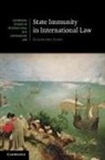 Xiadong Yang, Xiaodong Yang - State Immunity in International Law