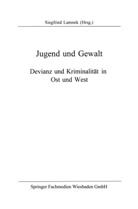 Siegfrie Lamnek, Siegfried Lamnek - Jugend und Gewalt