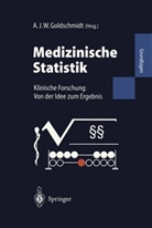 A. J. W. Goldschmidt, Andreas J. W. Goldschmidt, J W Goldschmidt, A J W Goldschmidt - Medizinische Statistik