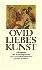 Ovid - Liebeskunst