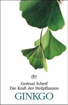 Gertrud Scherf - Ginkgo