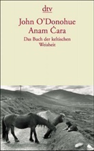 John O'Donohue - Anam Cara