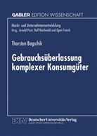 Thorsten Bagschik - Gebrauchsüberlassung komplexer Konsumgüter