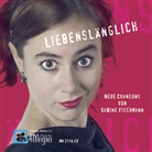 Die Geschichte vom Fliegenden Holländer, 1 Audio-CD (Hörbuch)
