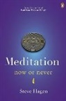 Steve Hagen, Hagen Steve - Meditation Now Or Never