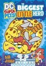 John Sazaklis, John/ Baltazar Sazaklis, Art Baltazar, Gardner Fox - The Biggest Little Hero