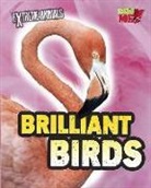 Isabel Thomas - Brilliant Birds