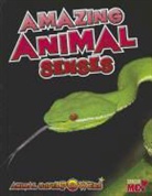 John Townsend - Amazing Animal Senses