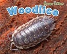 Sian Smith - Woodlice