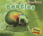 Rebecca Rissman - Beetles