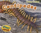 Rebecca Rissman - Centipedes