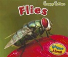 Sian Smith - Flies
