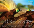 Tim Laman, Tim (PHT)/ Scholes Laman, Edwin Scholes, Tim Laman - Birds of Paradise