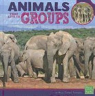 Kelsi Turner Tjernagel - Animals That Live in Groups