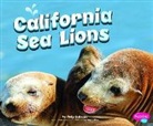 Megan C. Peterson, Megan Cooley Peterson, Gail Saunders-Smith - California Sea Lions