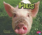 Sheri Doyle, Sheri Lynn Doyle, Gail Saunders-Smith - Pigs