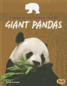 Brenda Haugen - Giant Pandas