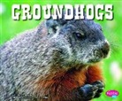 Chadwick Gillenwater, Chadwick Justin Gillenwater, Gail Saunders-Smith - Groundhogs