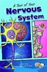 Molly Kolpin, Molly/ Jones Kolpin, Chris Jones, Chris B. Jones - A Tour of Your Nervous System