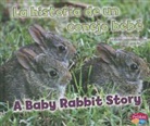 Jeni Wittrock - La Historia De Un Conejo Bebe/ a Baby Rabbit Story
