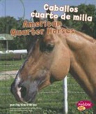 Kim Brien, O&amp;apos, Kim O'Brien - Caballos Cuarto De Milla/ American Quarter Horses