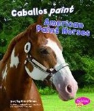 Kim Brien, O&amp;apos, Kim O'Brien - Caballos Paint/ American Paint Horses