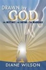 Diane Wilson - Drawn by God