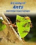 Anna Claybourne - A Colony of Ants and Other Insect Groups