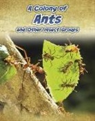 Anna Claybourne - A Colony of Ants
