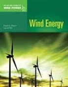 David Rivkin, David W. Rivkin, David W. Silk Rivkin, Laurel Silk - Wind Energy