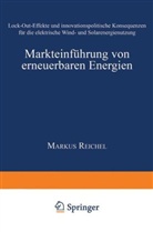 Markus Reichel - Markteinführung von erneuerbaren Energien