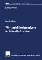 Peter Greißinger - Wirtschaftlichkeitsanalysen im Gesundheitswesen