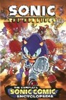 Ian Flynn, Sonic Scribes - Sonic: The Hedgehog