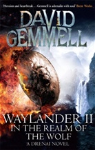 David Gemmell, Gemmell David - Waylander II In the Realm of the Wolf
