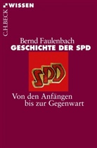 Bernd Faulenbach - Geschichte der SPD