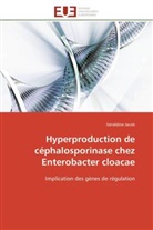 Géraldine Jacob, Jacob-g - Hyperproduction de