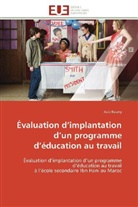 Aziz Rasmy, Rasmy-A - Evaluation d implantation d un